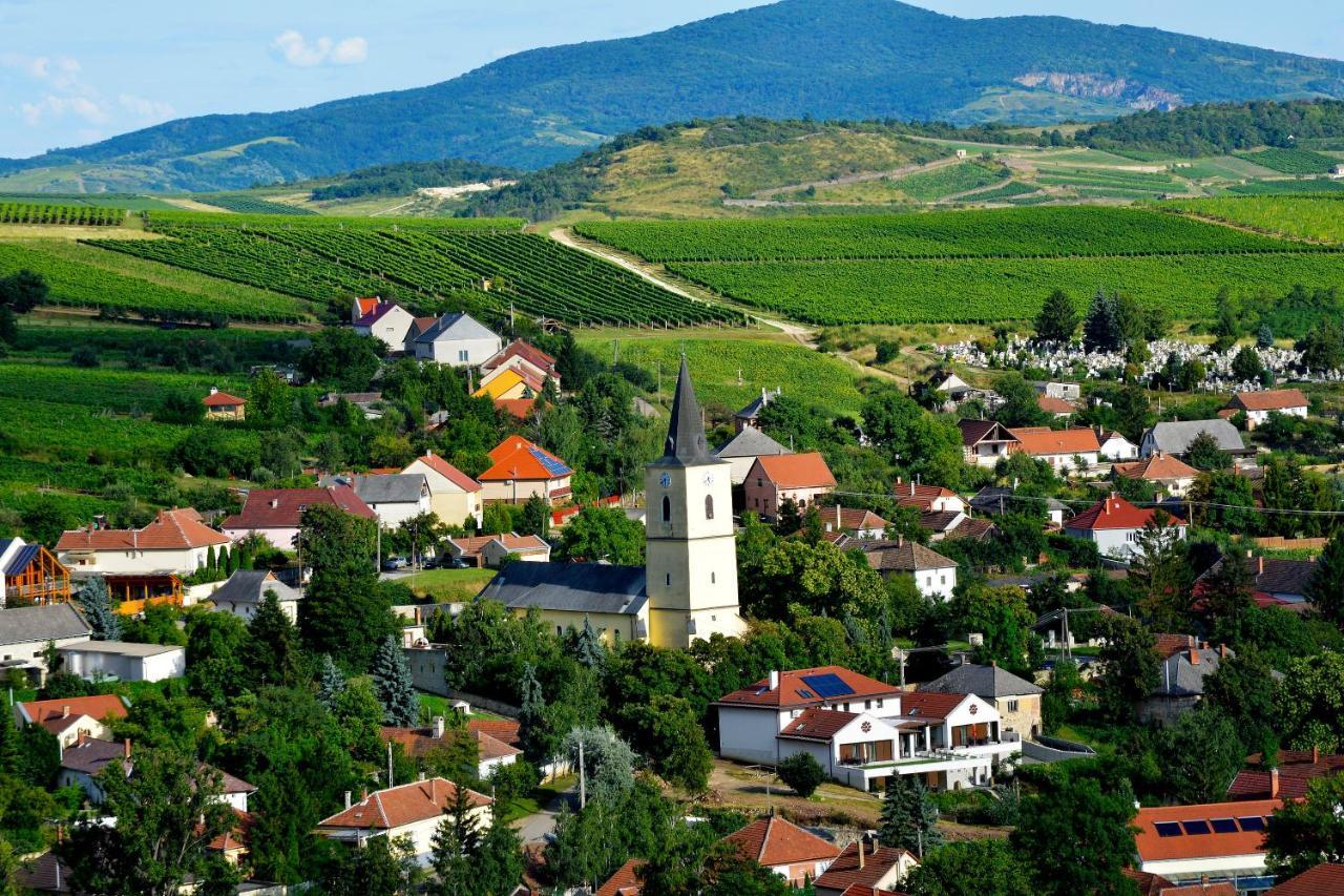 Hotel Demetervin Mád Zewnętrze zdjęcie